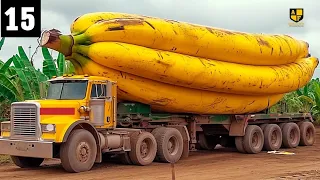 15 Biggest Fruits & Vegetables Ever Produced