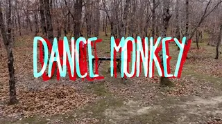 Tones and I - Dance Monkey (#Ксилофон кавер) - DanceMonkey (#Xylophone Cover)