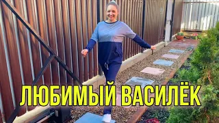 Любимый Василёк ! Заказала ОБНОВКИ НА ЛЕТО! Красивое постельное белье и шикарные костюмы из хлопка !