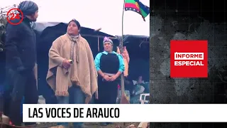Informe Especial: "Las voces de Arauco" | 24 Horas TVN Chile