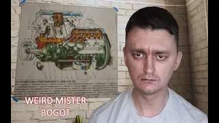 ЗАКРЫЛИ В ГАРАЖЕ 🛠 Weird Mister Bogot