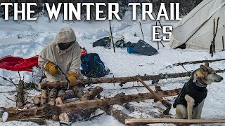 10 Days Winter Camping in the Northern Wild | The Winter Trail - E.5 - Moose Steak & Strong Wind