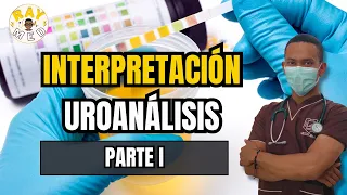 GUÍA COMPLETA: INTERPRETACIÓN UROANÁLISIS