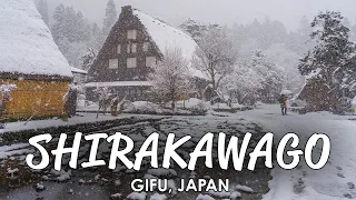 Snowy Walk in Japanese Village Shirakawago | Gifu, Japan 🇯🇵 | 4K Binaural Relaxing Winter Sounds