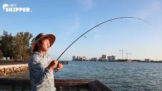 Simple Pier Fishing Methods- ANYONE can catch fish!