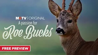 A Passion for Roebucks | Season 1 Preview