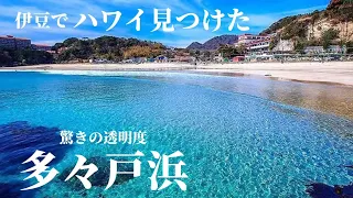 驚きの透明度！伊豆下田にある多々戸海水浴場の情報を徹底解説！駐車場/売店/シャワーはある？