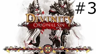 Divinity Original Sin LP #3....I'm a heartless....