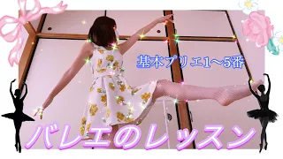 【バレエレッスン】優雅な大人になりたい🩰