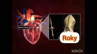 HCl learning/structure of tha human heart