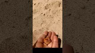 I Found 8 Rings on the Beach!  While Metal Deteting 😃