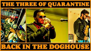 Back In The Doghouse  - The Three Of Quarantine (Seasick Steve cover)