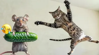 Funniest 2024😹Cats and 🥒 Cucumbers - Awesome Funny Pet Videos 😋😻Parrt 13