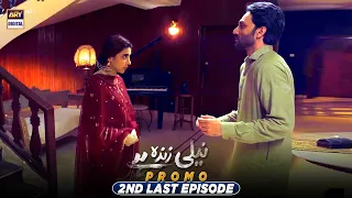 Neeli Zinda Hai 2nd Last Episode | Promo | ARY Digital Drama