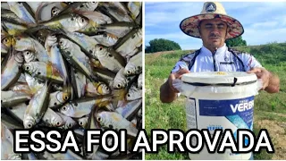 COM ESSA ARMADILHA E ESSA ISCA A PESCADA E GRANDE EM QUALQUER AÇUDE