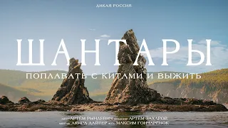 УВИДЕТЬ КИТОВ В РОССИИ: ДОРОГО, ОПАСНО и НЕЗАБЫВАЕМО! РЫНДЕВИЧ