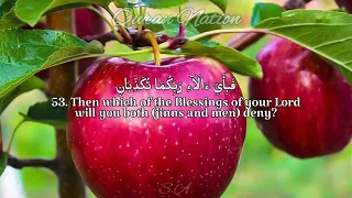 Surah Ar Rahman - Heart Touching Quran Recitation by Yasser Al Zailai