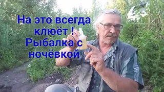 ВОТ ЭТО РЫБАЛКА !  На нашем пруду с ночёвкой. Как поперло ! Карась на поплавок и донки