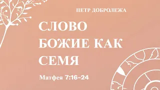 СЛОВО БОЖИЕ КАК СЕМЯ | Петр Добролежа