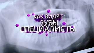 Чем занимаются специалисты в Dental Hall