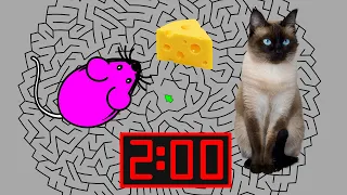 2  Minute Timer [MOUSE MAZE] 🐭