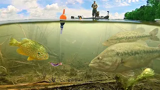 Incredible UNDERWATER Fishing!!! --BIG Bluegill and Bass Eating Jig w/ Nightcrawler!