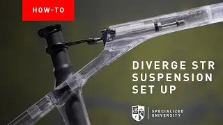 How to Set Up and Tune Rear Suspension | Diverge STR #howto