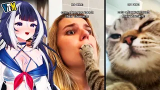 Shylily Watchs Funny Cat Memes Compilation | Shylily reaction is HERE