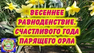 Весеннее равноденствие.  Счастливого года парящего орла!