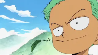 Zoro's Childhood | Challenge to Kuina | Zoro and Kuina