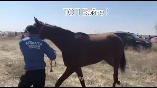 Алматы обл Топ баиге ! 10-04-2021 жж !