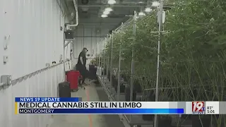 Medical Cannabis is Legal in Alabama But Still Not Available to Patients | May 29, 2024 | News 19 at