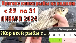 Прогноз клева рыбы на неделю с 25 по 31 Января 2024 Лунный Календарь рыбака январь 2024