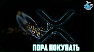 STELLAR НИКТО НЕ ЗНАЕТ? ТОЛПА ЖДЁТ RIPPLE ПО 0.10$? XRP ОБВАЛИТСЯ ИЛИ ПОЙДЁТ В РОСТ? ПРОГНОЗ РИПЛ