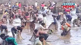 Poonamaravathi Villagers Celebrates Traditional Fishing Festival In Tamil Nadu