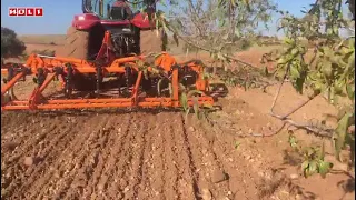 Cultivador Noli Modelo CGR con Intercepas