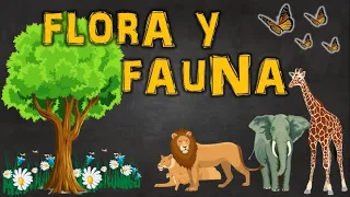 FLORA Y FAUNA | DEFINICIÓN Y EJEMPLOS