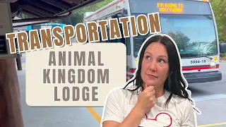 Transportation At Disney's Animal Kingdom Lodge