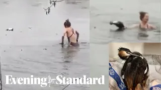 Moment hero swimmer breaks ice in freezing lake to rescue trapped bird