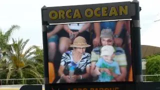 Loro Parque Whale Show Intro (HD)