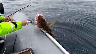 Морская рыбалка на треску  Баренцево море  Мурманск  Териберка. Клев Sea fishing
