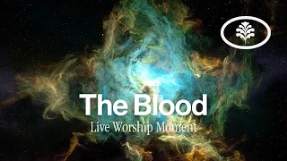 The Blood (Live Worship Moment) by Evergreen LA