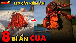 🔥 8 Bí Ẩn Ly Kỳ Và Thú Vị Về Loài Cua Mà Chưa Ai Nói Cho Bạn Biết | Kính Lúp TV