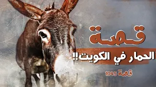 1045 - قصة الحمار في الكويت!!