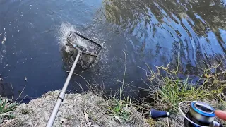 A Day Fishing With Robbie Alexander