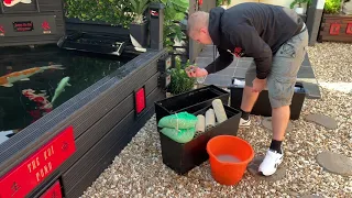 DIY KOI POND***SOME GOOD NEWS***CHANGING THE MEDIA IN THE SHOWER FILTER