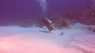 PDA divers went scuba dive and it's really strong current and then this guy came up with this idea.