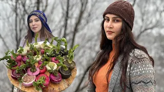 Hardcore in snowy village: cooking dolma with Mince and radish