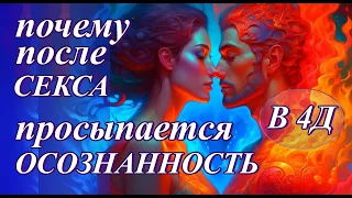 ❤️  ЧТО ТАКОЕ ЛЮБОВЬ В 4Д  #запах #сексуальность #ченнелинг #абсолют #отношения #программа