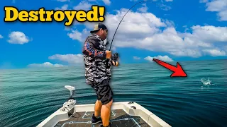 Deep Dropping LIVE BAITS To Catch Our Supper In A Tiny Boat!